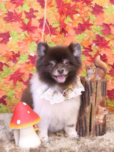 20241126太郎くん